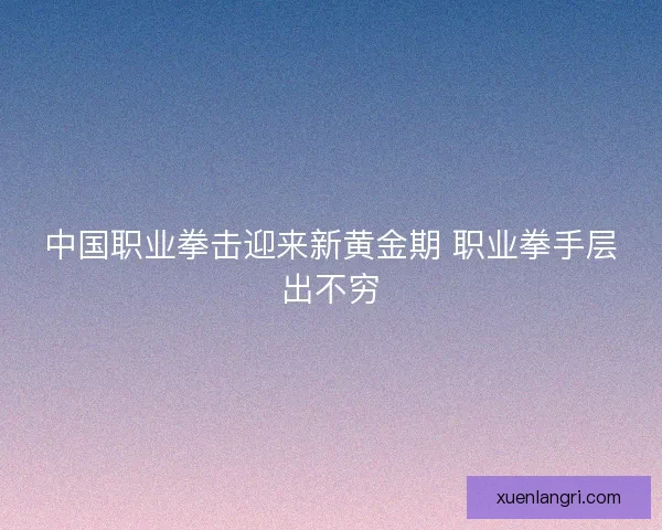 中国职业拳击迎来新黄金期 职业拳手层出不穷